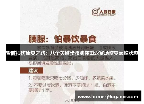 肾脏损伤康复之路：八个关键步骤助你重返赛场恢复巅峰状态